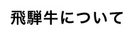 飛騨牛について